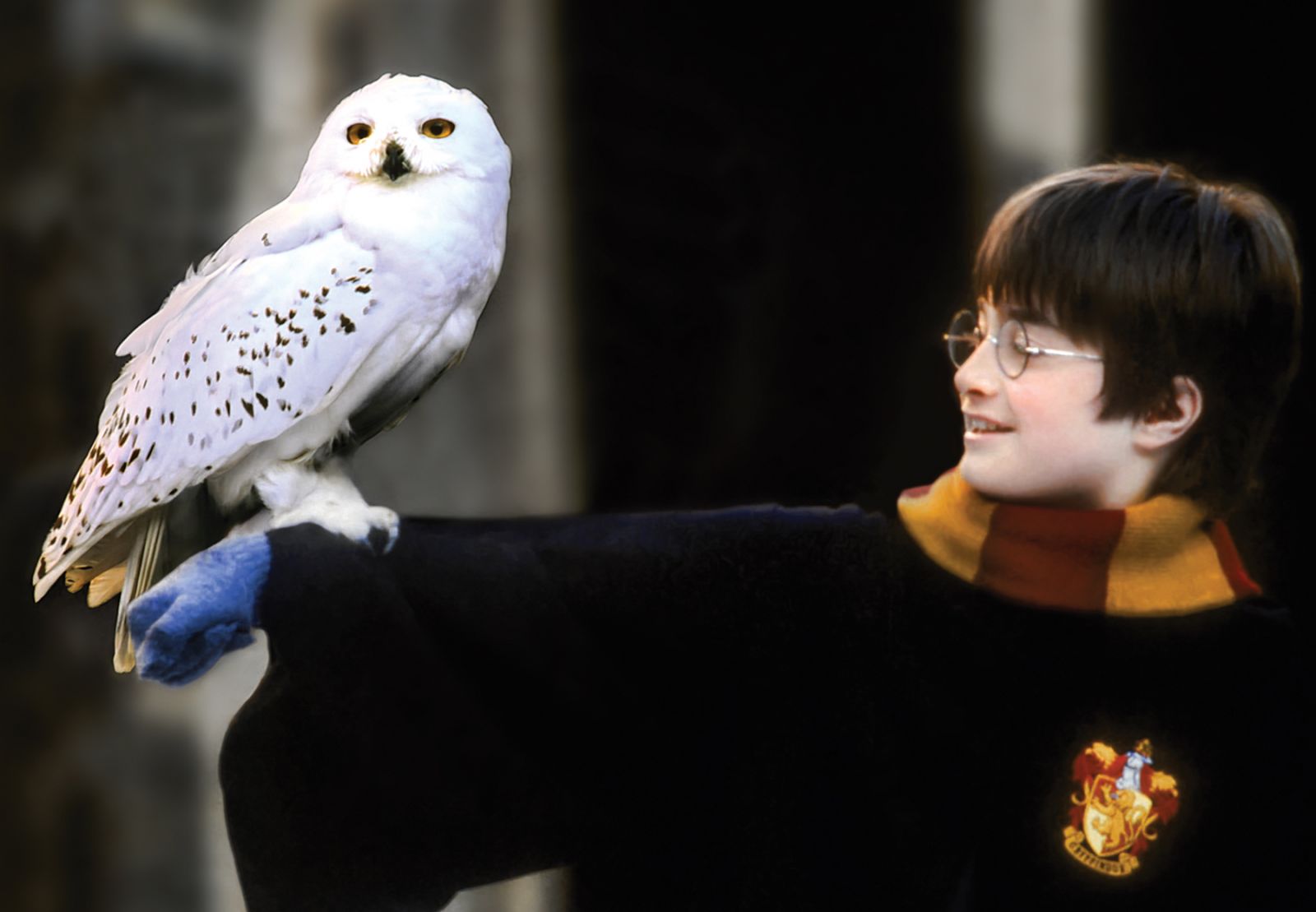 (Photo: Warner Bros.)