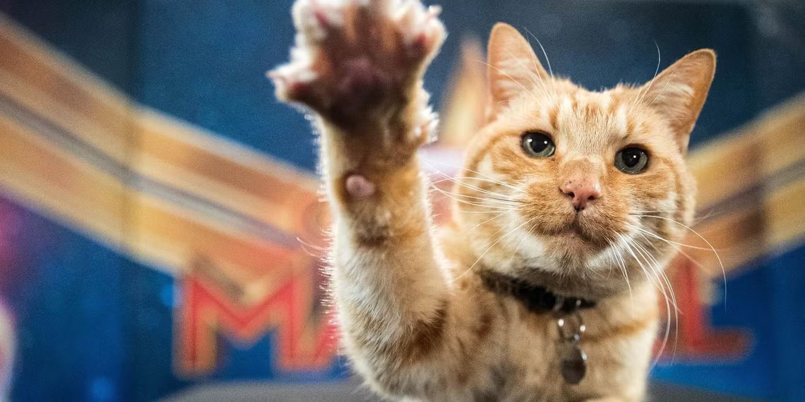 Our fascination with animal performers extends beyond simple entertainment (Photo: YouTube/Marvel Entertainment)