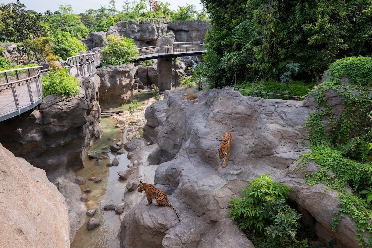 family-friendly activities in Singapore