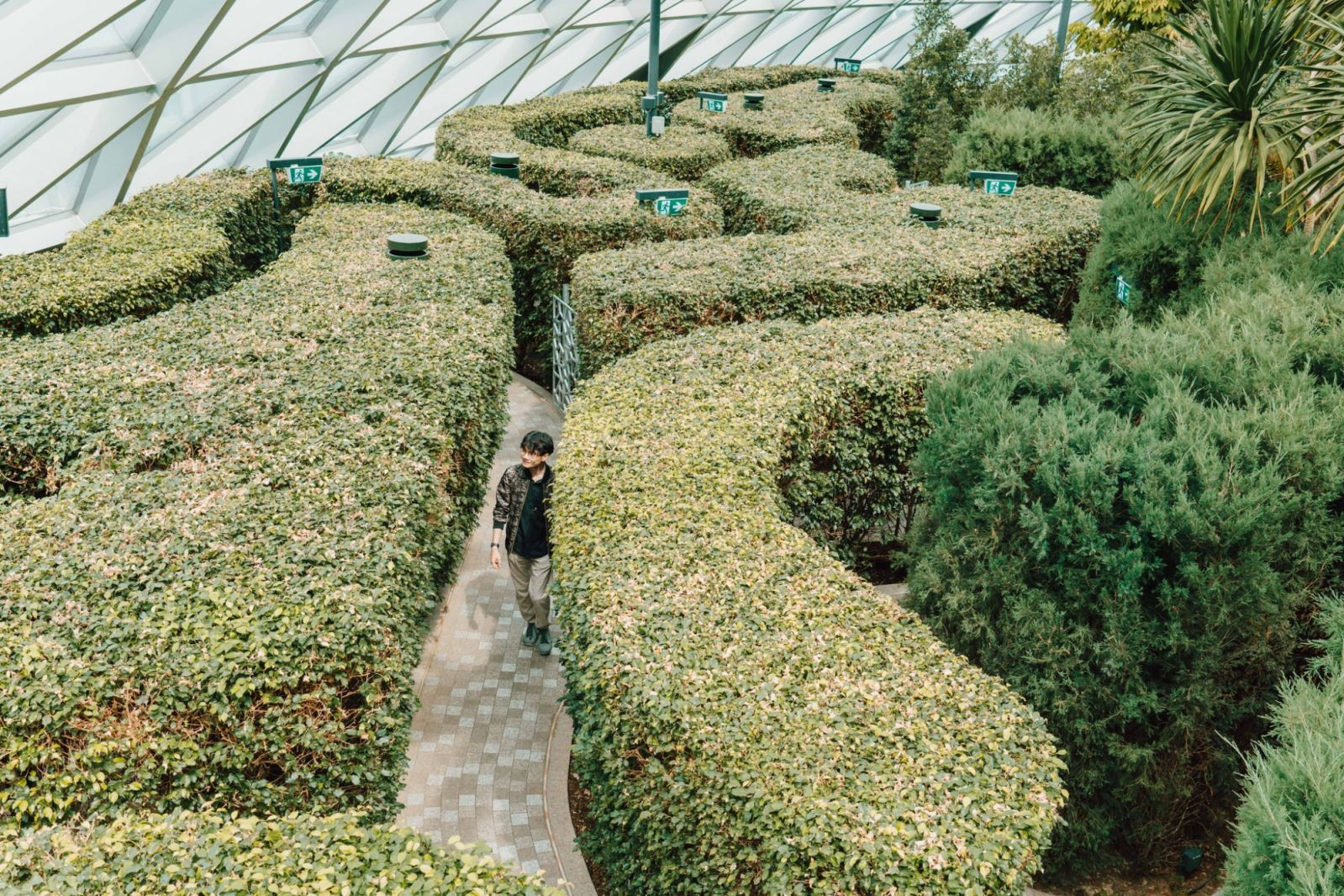 family-friendly activities in Singapore