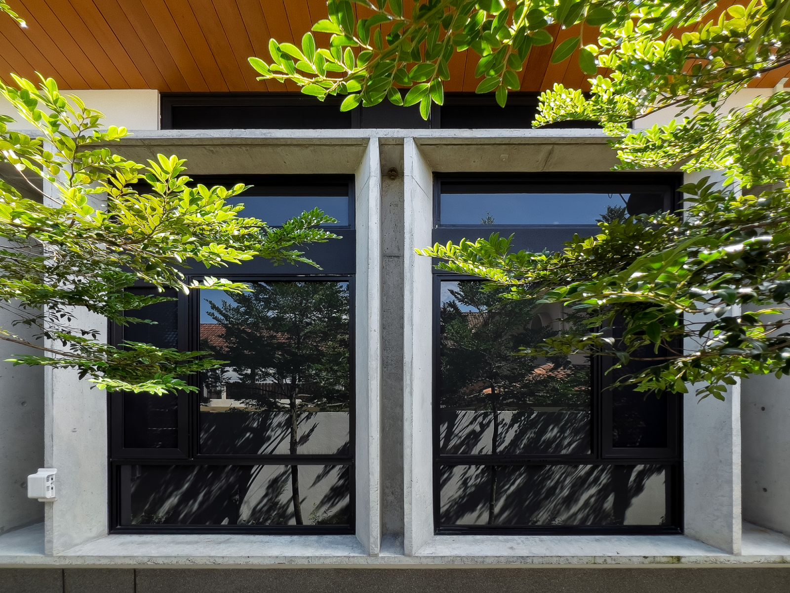 Large windows allow natural light in