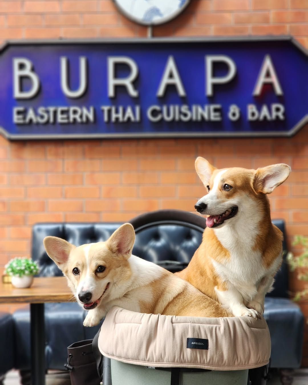 Burapa Eastern Thai Cuisine ร้านอาหาร pet-friendly ในกรุงเทพ