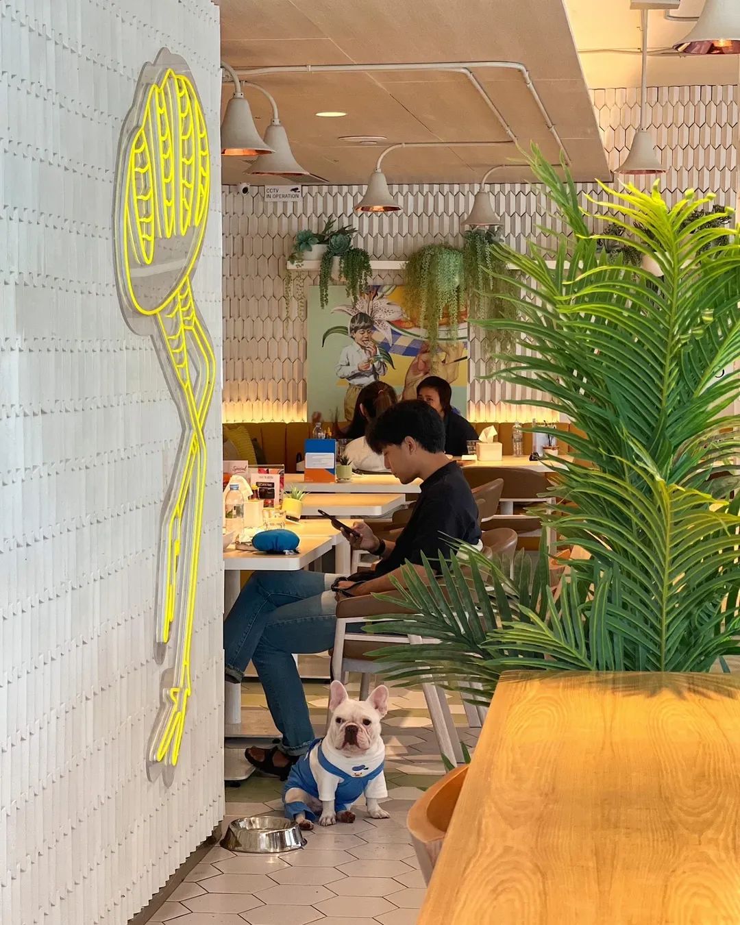 Brunch Paradiso ร้านอาหารและคาเฟ่ pet-friendly ในกรุงเทพ
