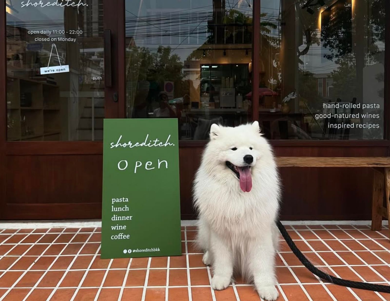 รวมคาเฟ่และร้านอาหาร pet-friendly ในกรุงเทพ