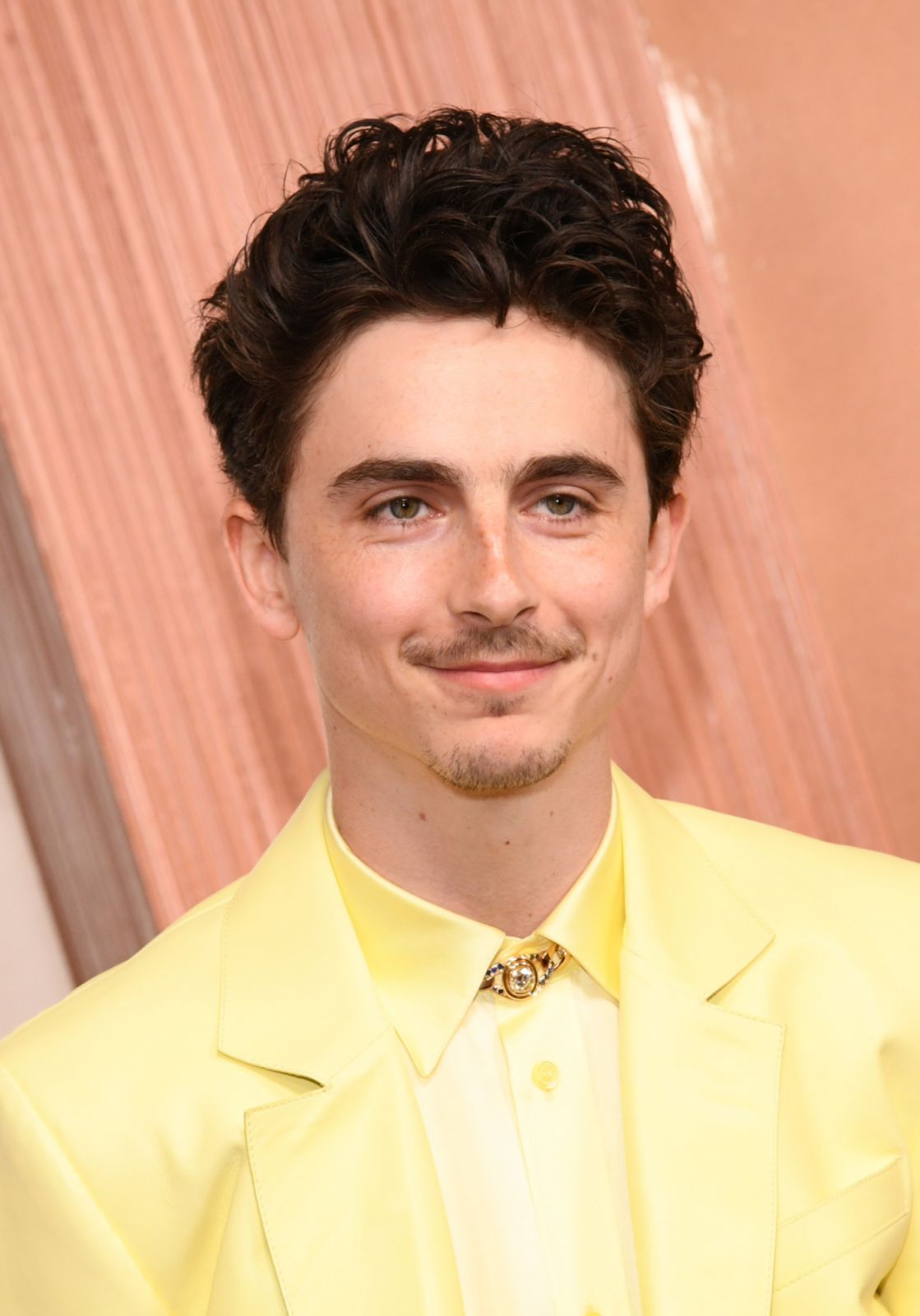 HOLLYWOOD, CALIFORNIA - MARCH 02: Timothée Chalamet attends the 97th Annual Oscars at Dolby Theatre on March 02, 2025 in Hollywood, California. (Photo by Chelsea Guglielmino/FilmMagic)