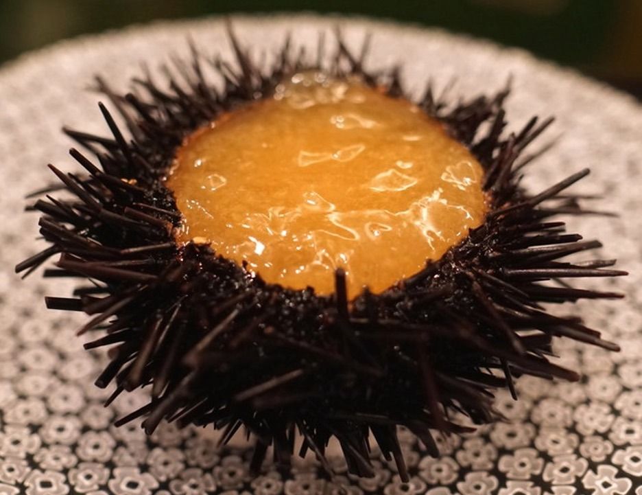 Hokkaido uni and ise lobster jelly (Photo: Courtesy of Solaire)