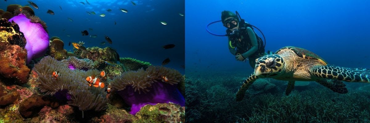 最美海島:刁曼島Tioman Island