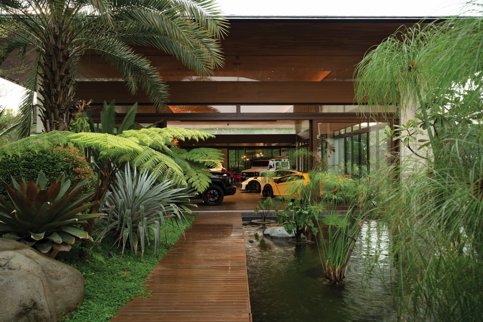 Lush vegetation frames his collection of cars