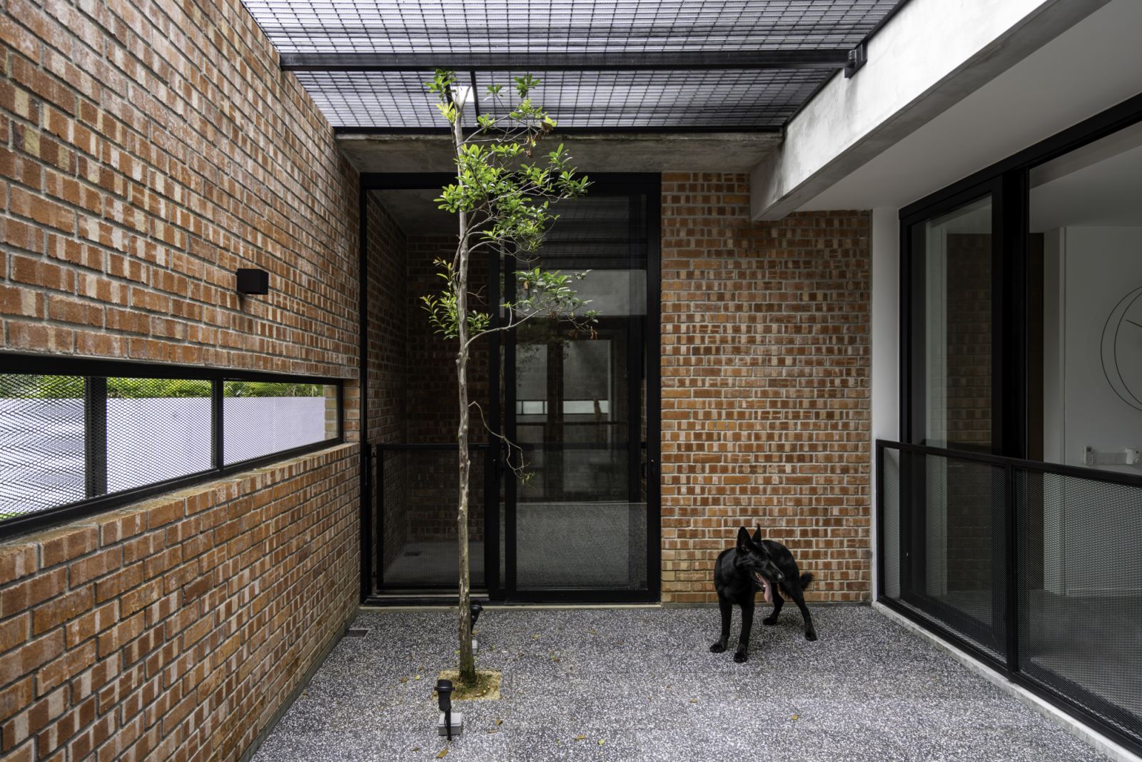 One of the home’s intimate courtyards reveals its pet-friendly design