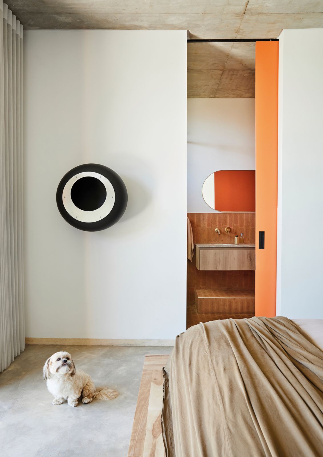 The family’s pet Shih Tzu, Bokkie, in the master bedroom