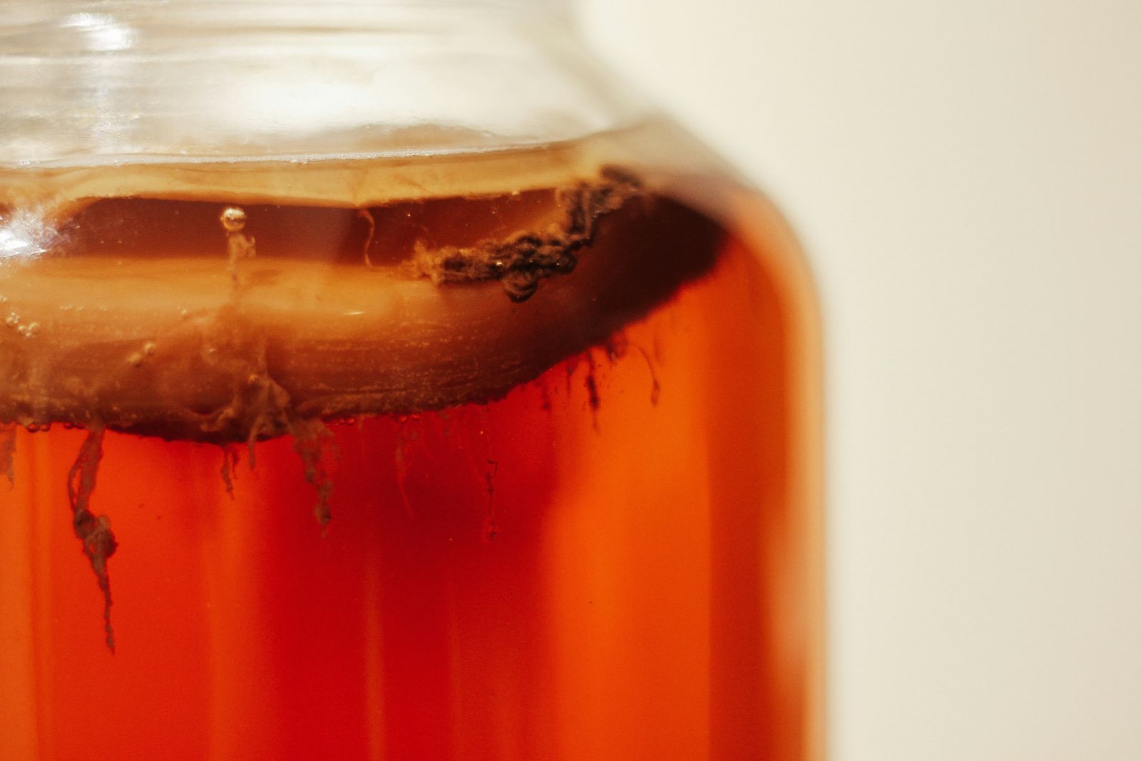 SCOBY (symbiotic culture of bacteria and yeast) is a by-product of kombucha tea fermentation, often discarded as food waste (Photo: Unsplash)