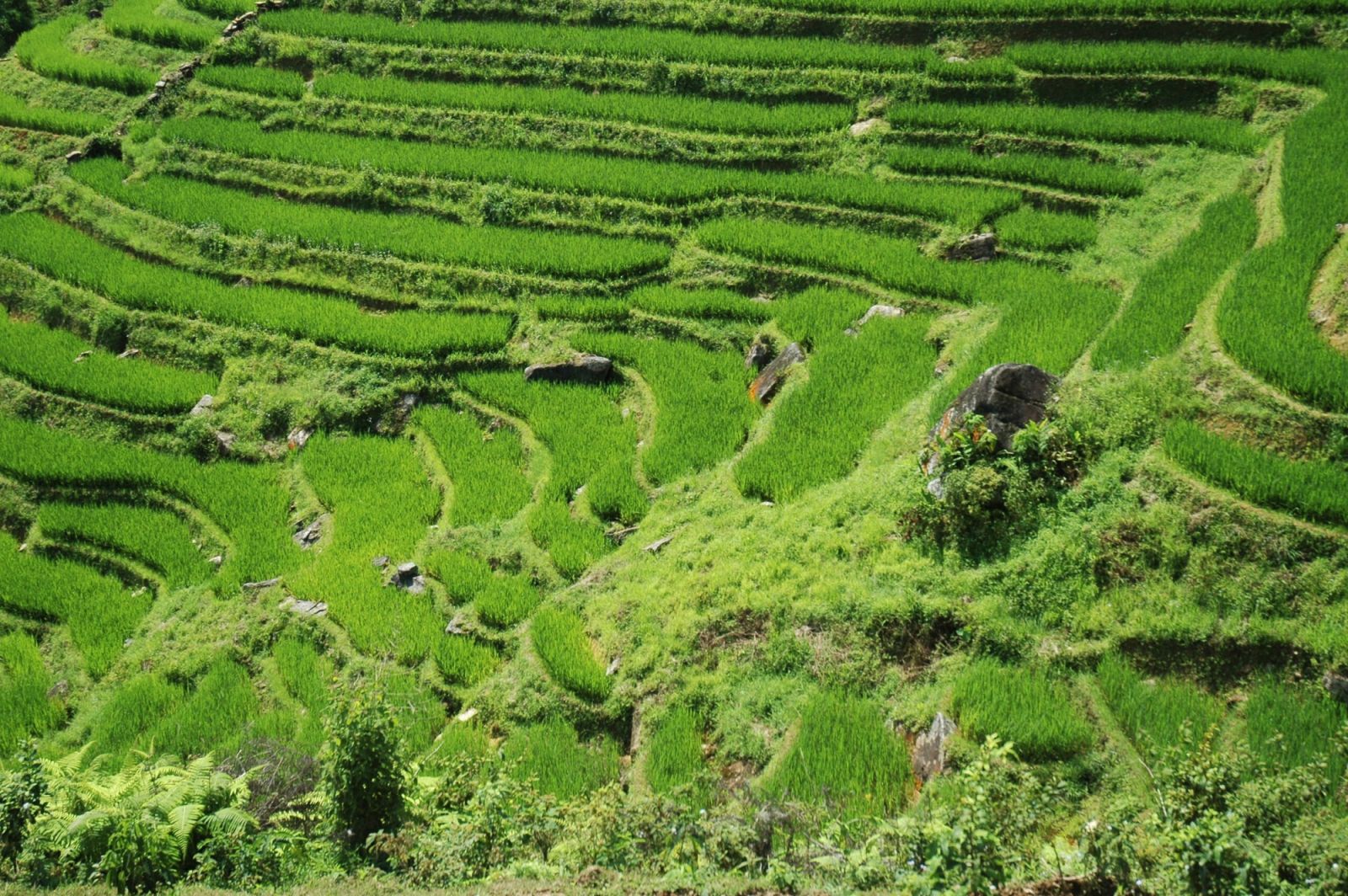Sapa-Vietnam