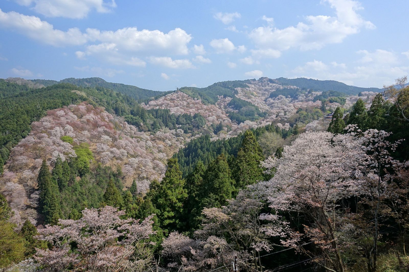 Mt-Yoshino