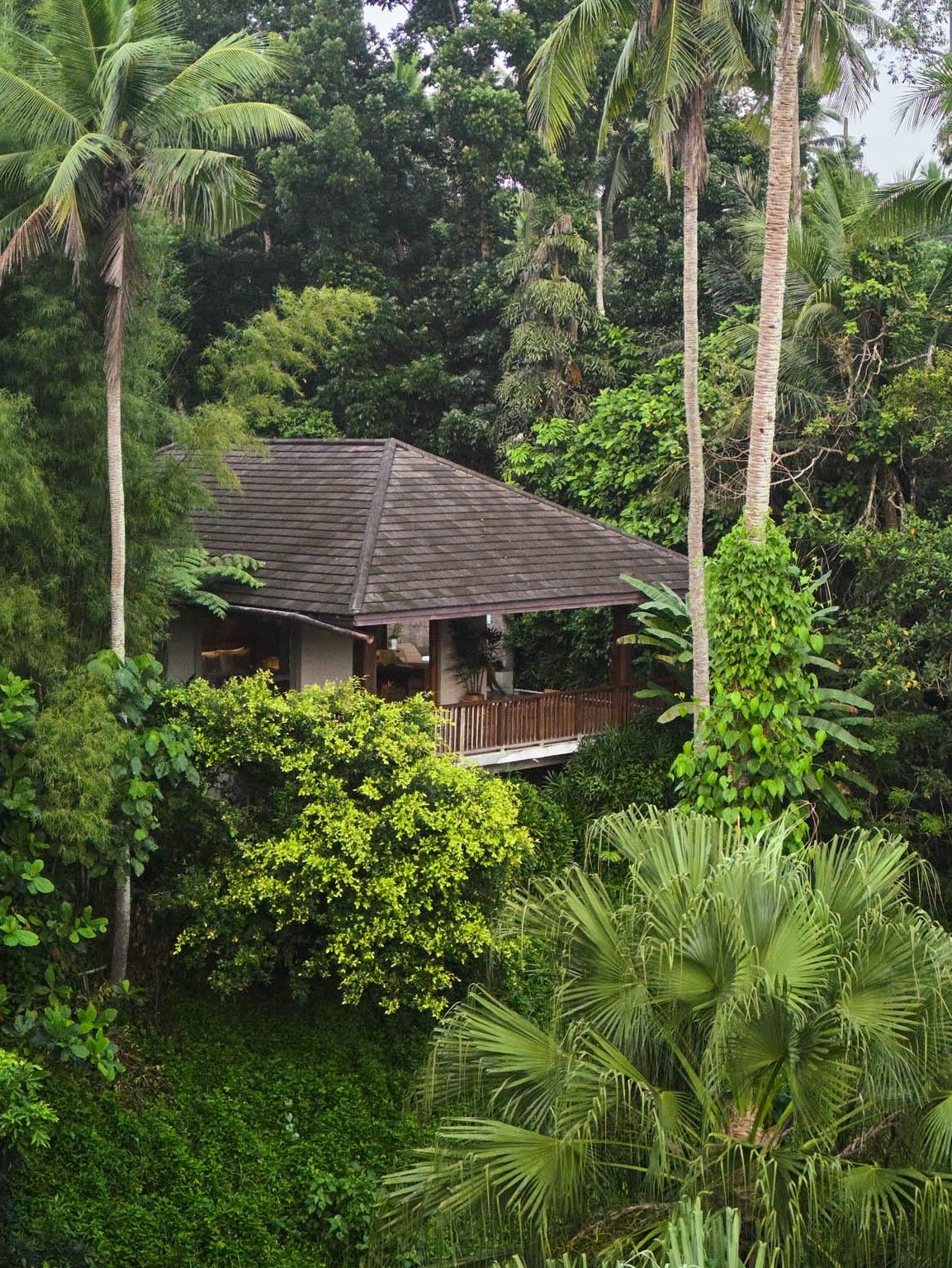 The Farm at San Benito