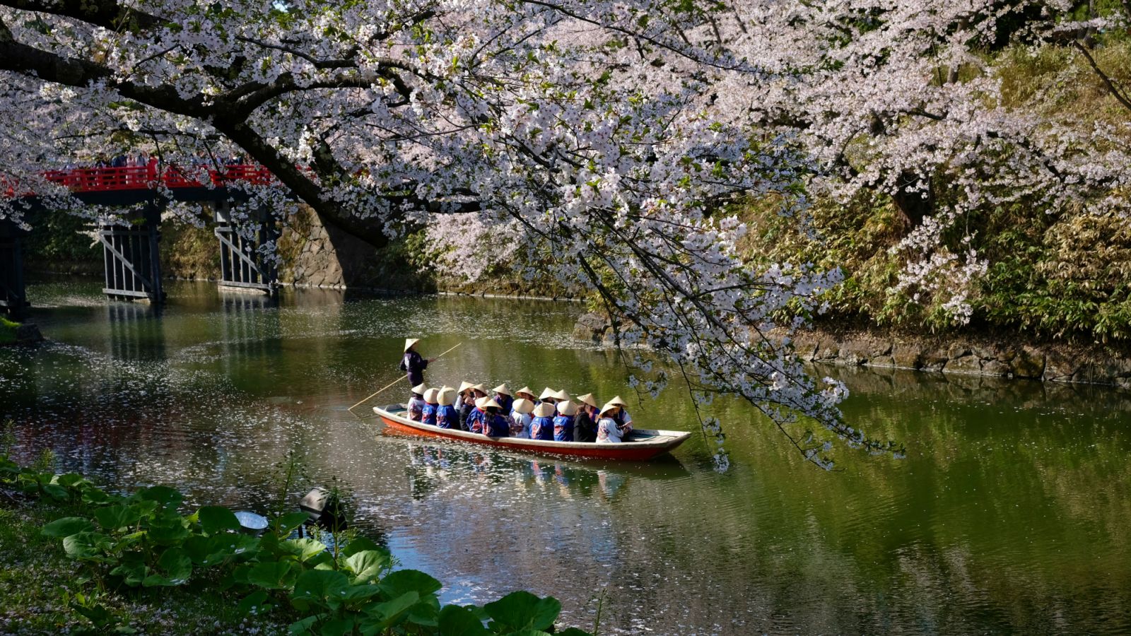 Photo: WANG Tianfang/Unsplash