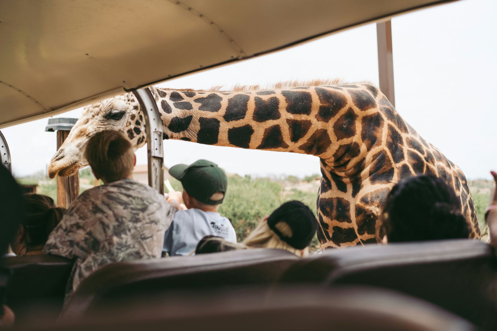 Kids on a safari