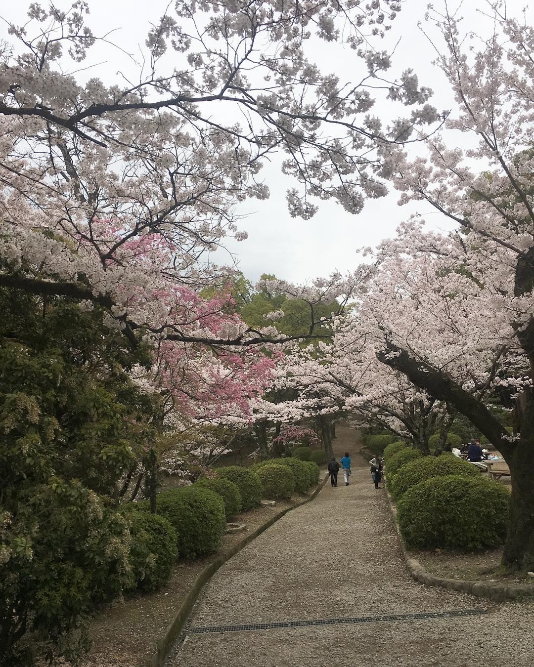 (Photo: Instagram / @Iosonojoemagreen)