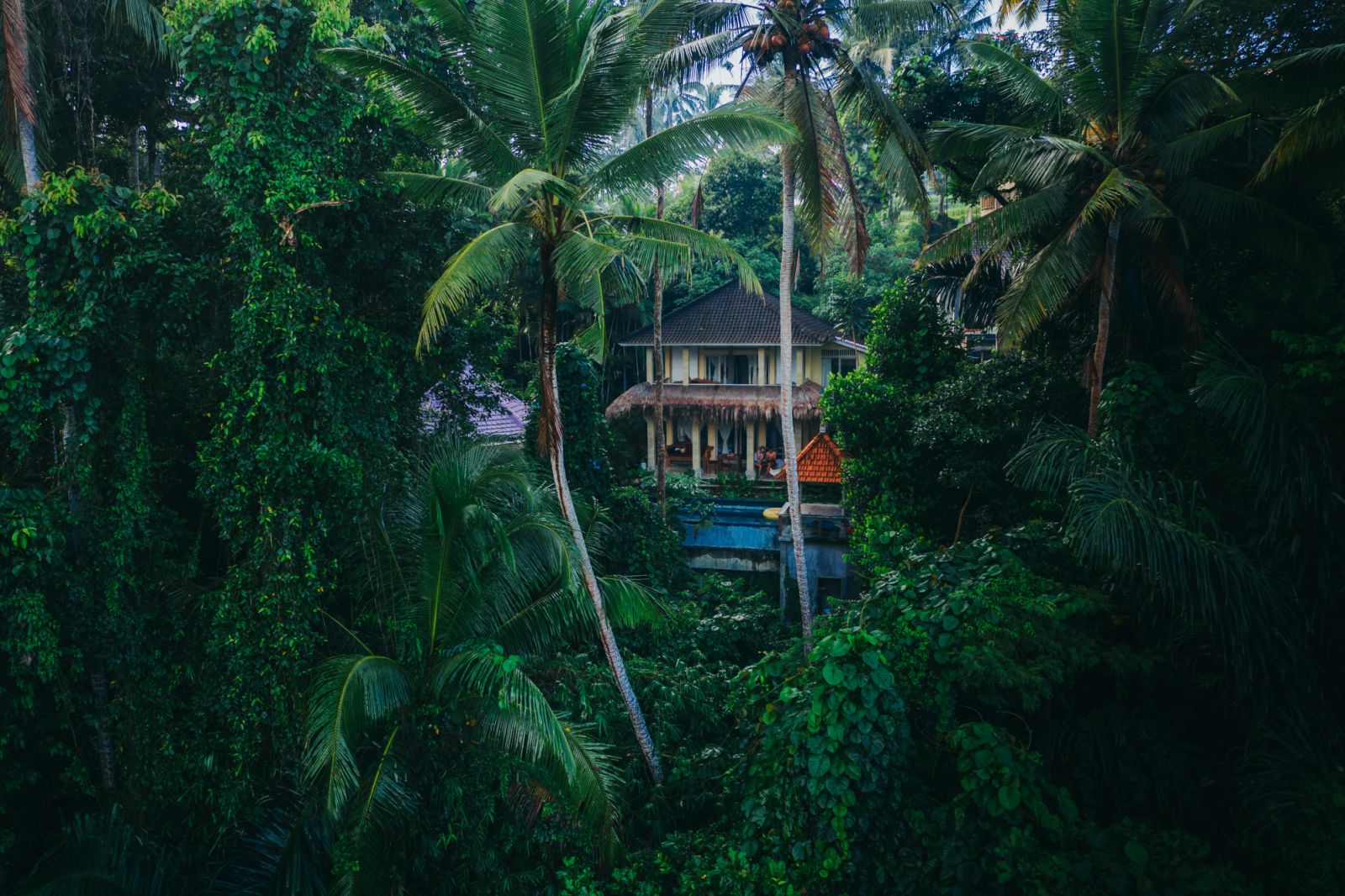 Ubud, Indonesia