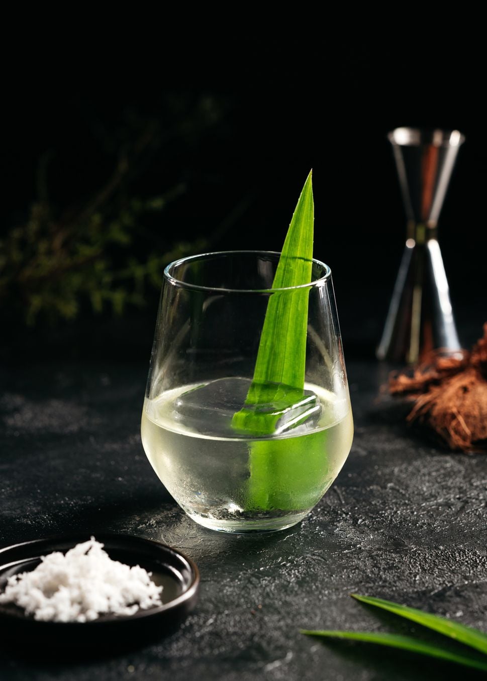 Kelapa Hotak (Image: Yung Shen Koh)