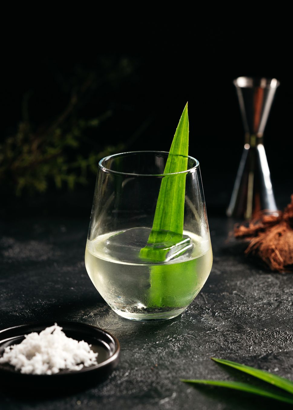 Kelapa Hotak (Image: Yung Shen Koh)