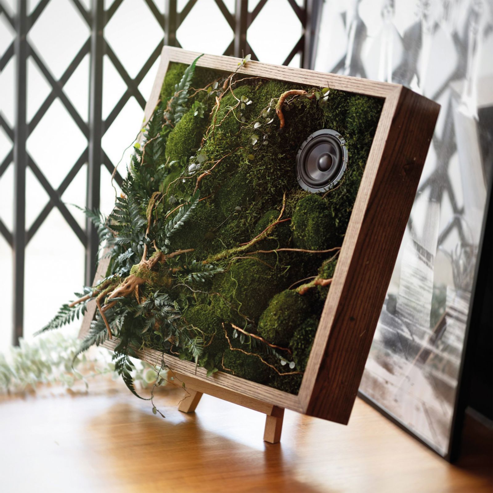 Decibelist Botanique Art Frame speaker