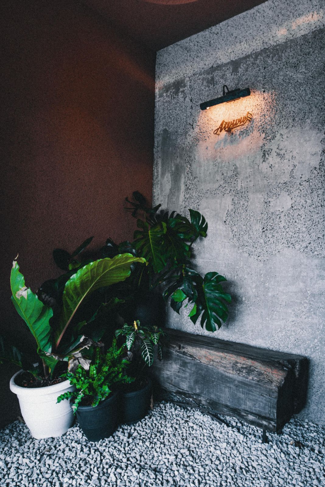 The eco-brutalist design of Coley (Image: AlllsAmazing)