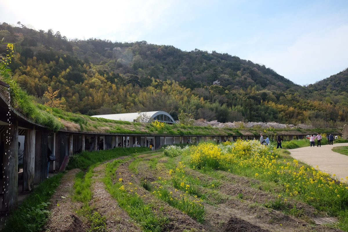 The overall effect is certainly photogenic almost all-year-round, whether with the rustic hues of autumn or during early spring, when the blooming cherry blossom trees can be seen in the distance