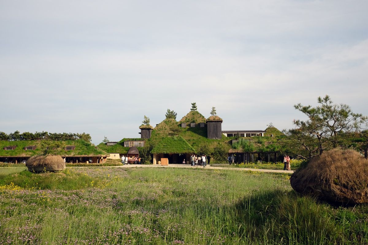 Seasonal varieties like the baby blue Nemophila and cheery yellow wildflowers dance in the breeze, growing alongside the growing paddy fields that are next to modern rustic buildings