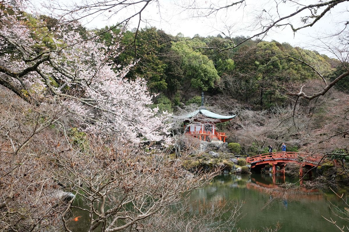 Kyoto's Daigo-ji Temple during the early sakura season
