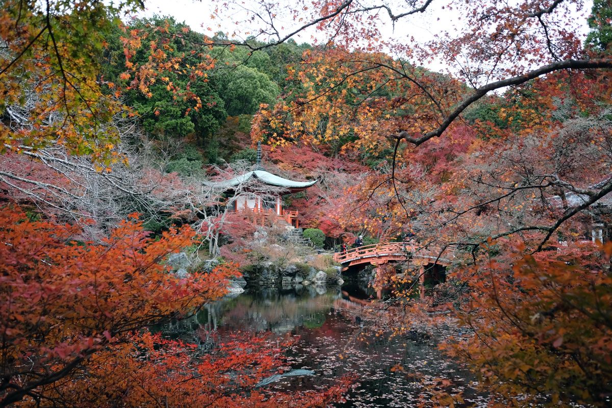 Kyoto's Daigo-ji Temple during the momiji season
