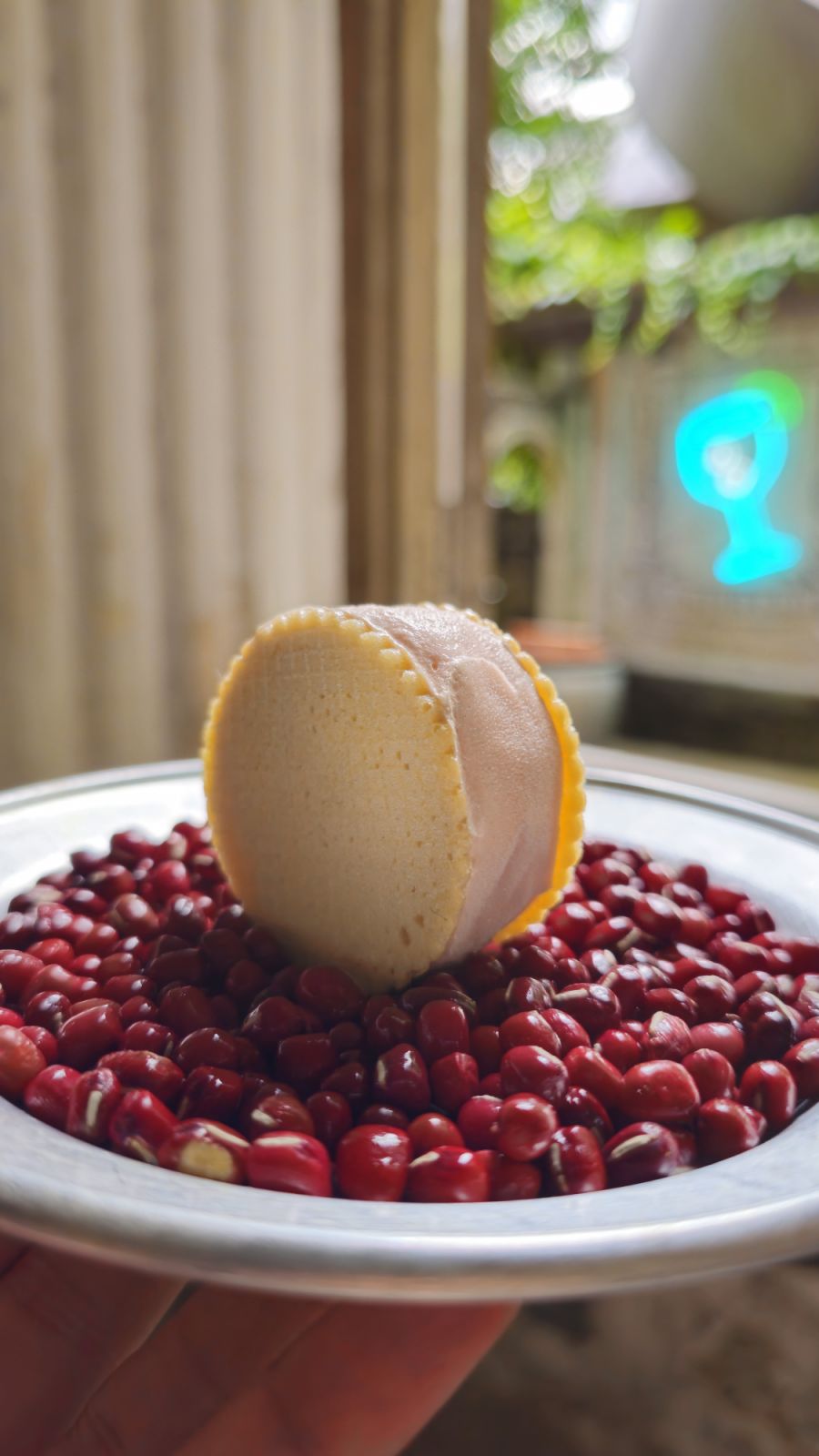 Negroni Ice Cream Sandwich (Image: Tan Wooi Chye)