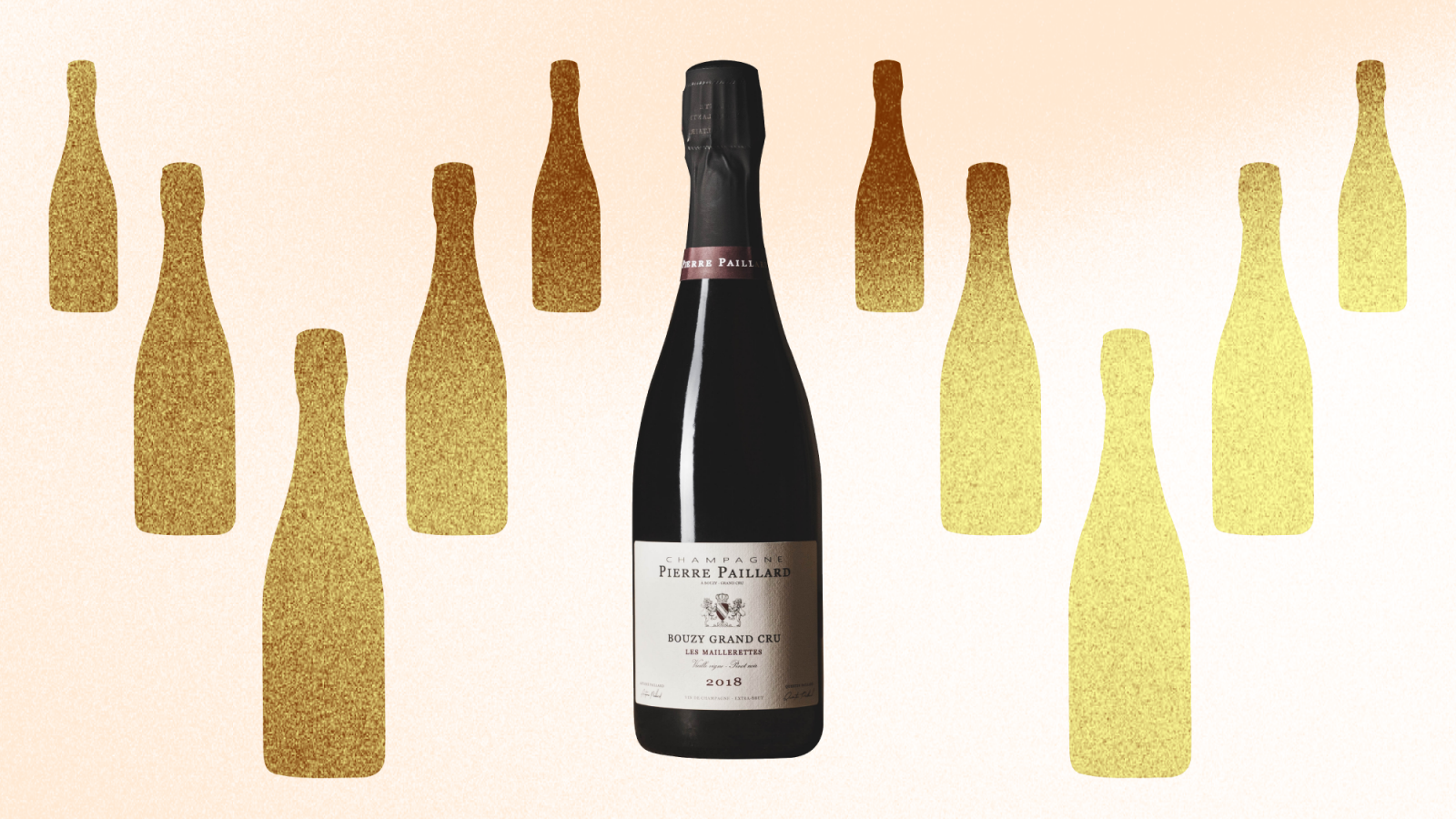Pierre Paillard Bouzy Grand Cru Les Mottelettes