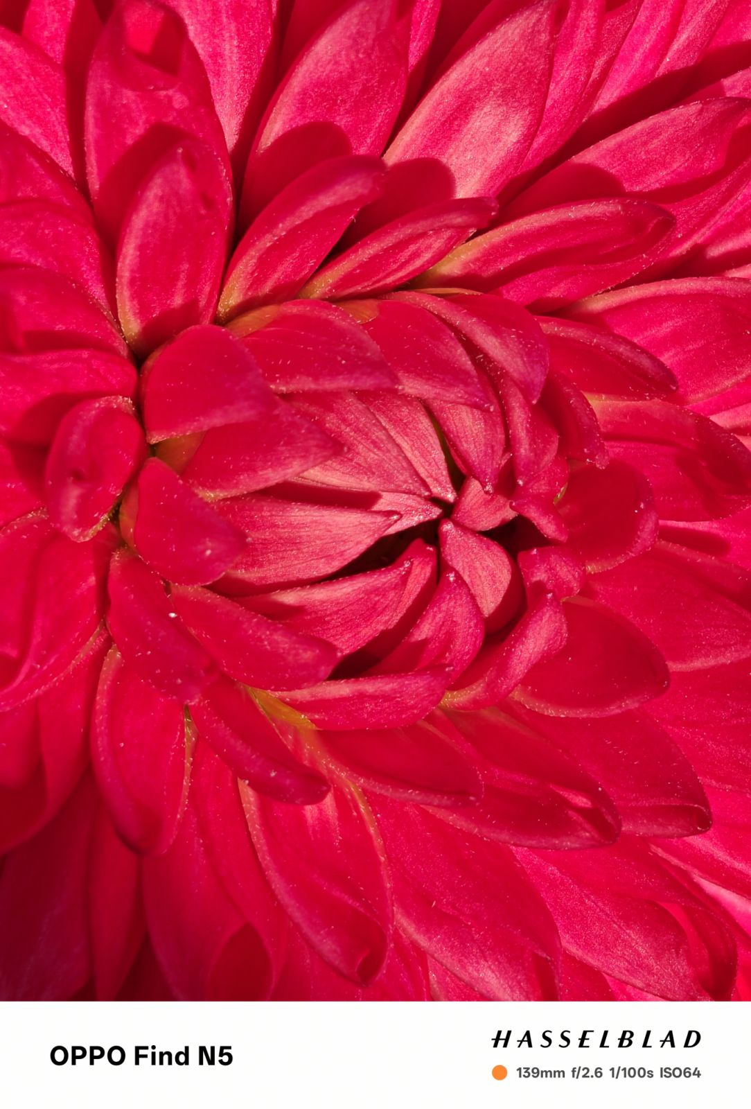 Sample photo taken using Oppo Find N5’s Telephoto Macro mode