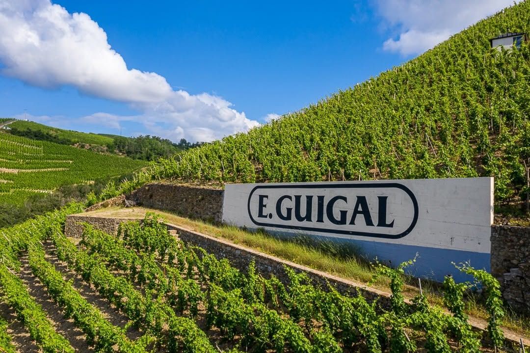 The vineyard of Domaine Guigal in Northern Rhone Valley, France (Photo: Instagram/@domaineguigal)