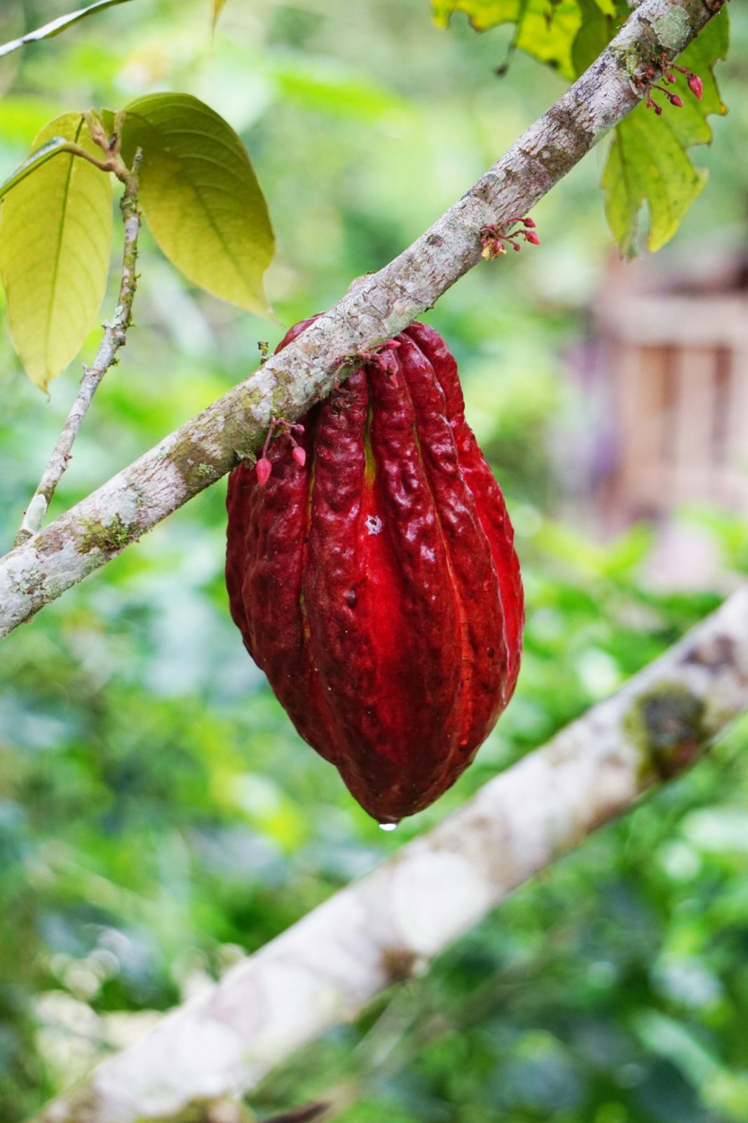 Photo: Jenni Miska/Unsplash