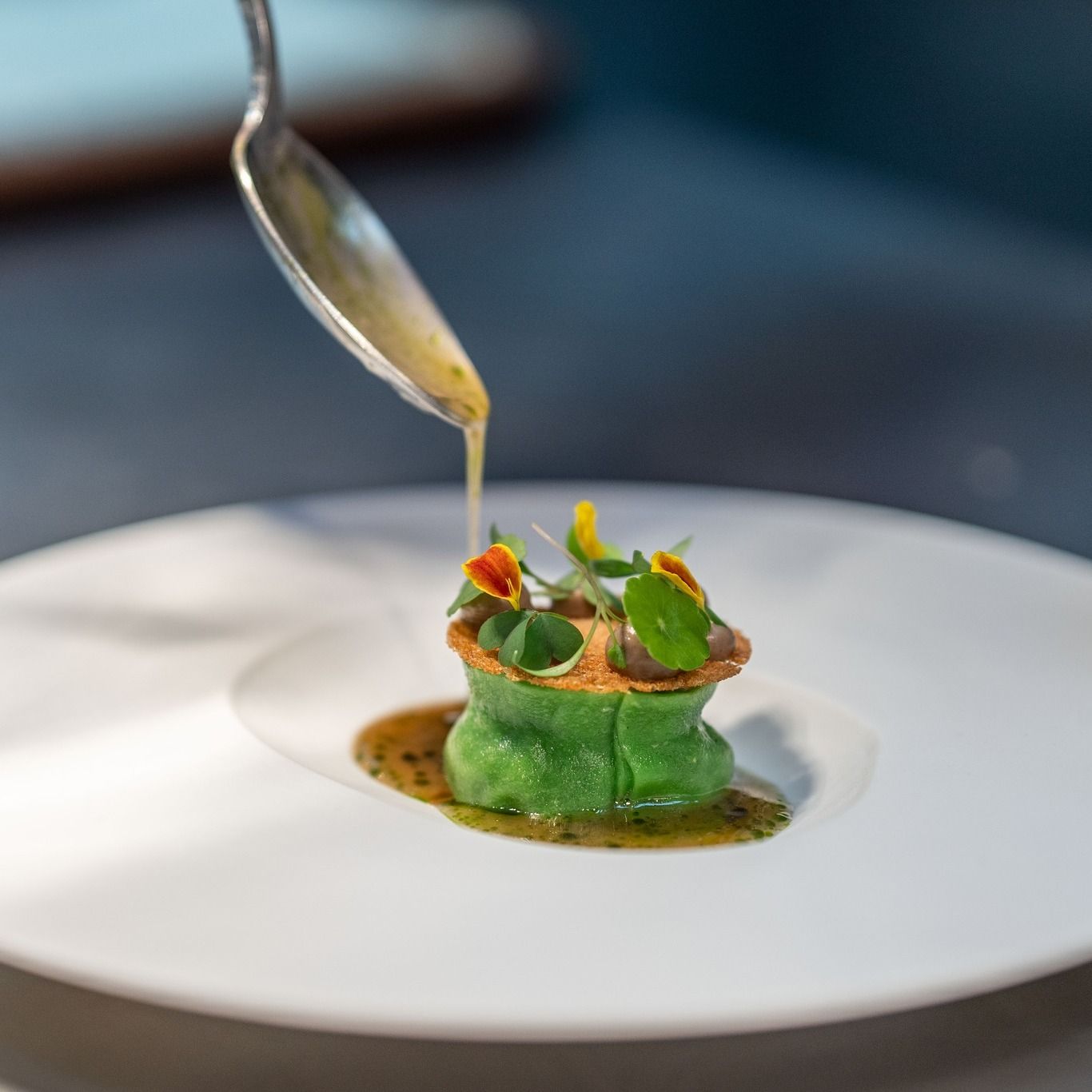 Terra Italian Restaurant