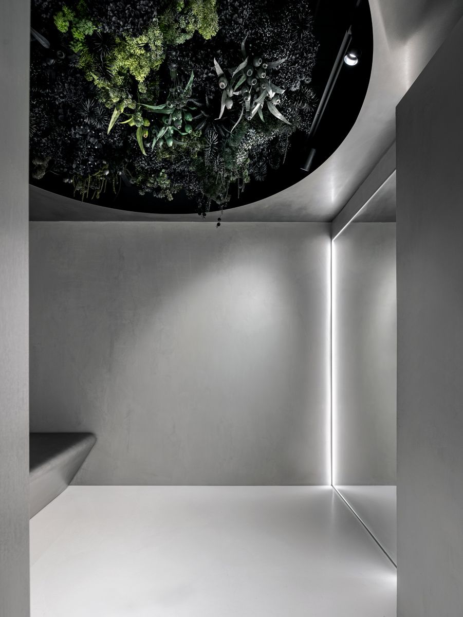 This green element adds a biophilic touch to the interior