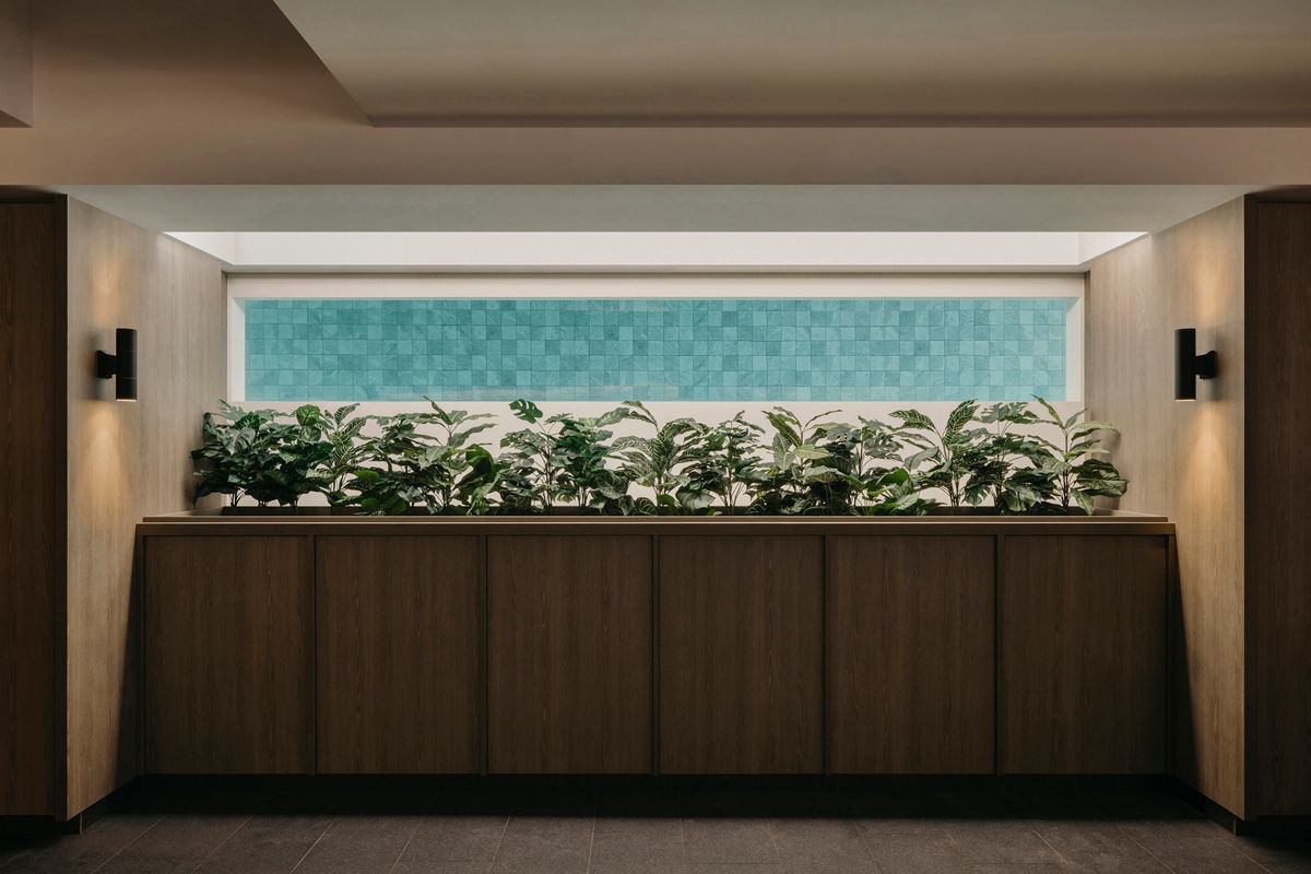 In the basement, a Perspex window frames the adjacent pool like a living artwork