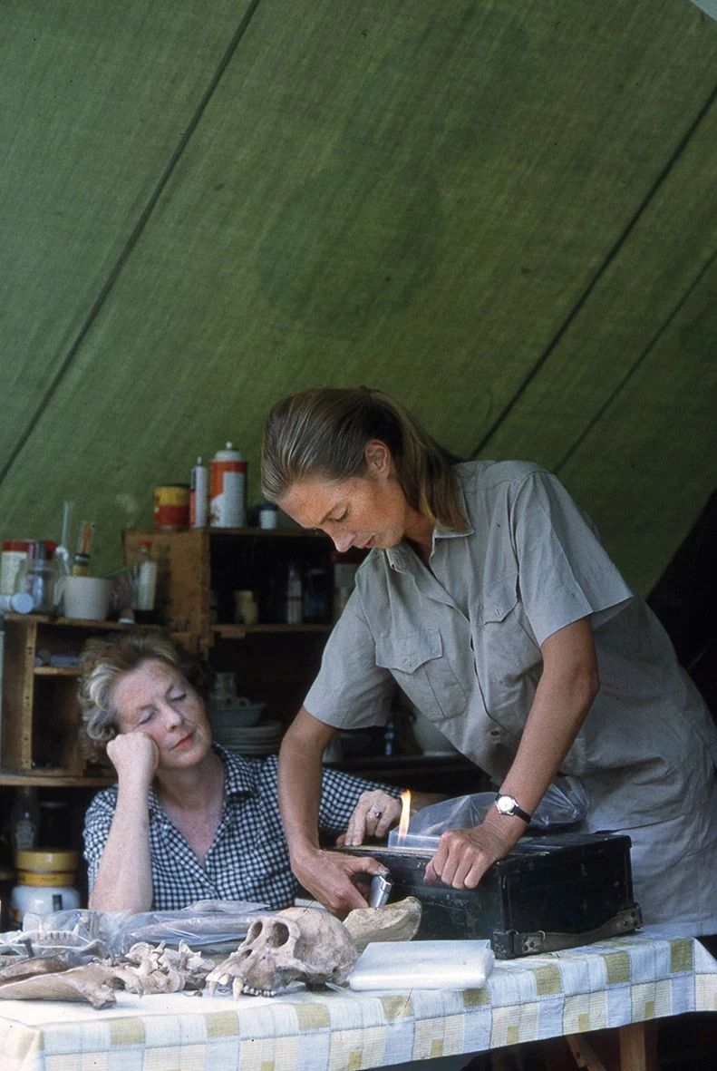 Jane Goodall and her mother, Vanne, classify specimens in a tent at the Gombe Stream Chimpanzee Sanctuary.