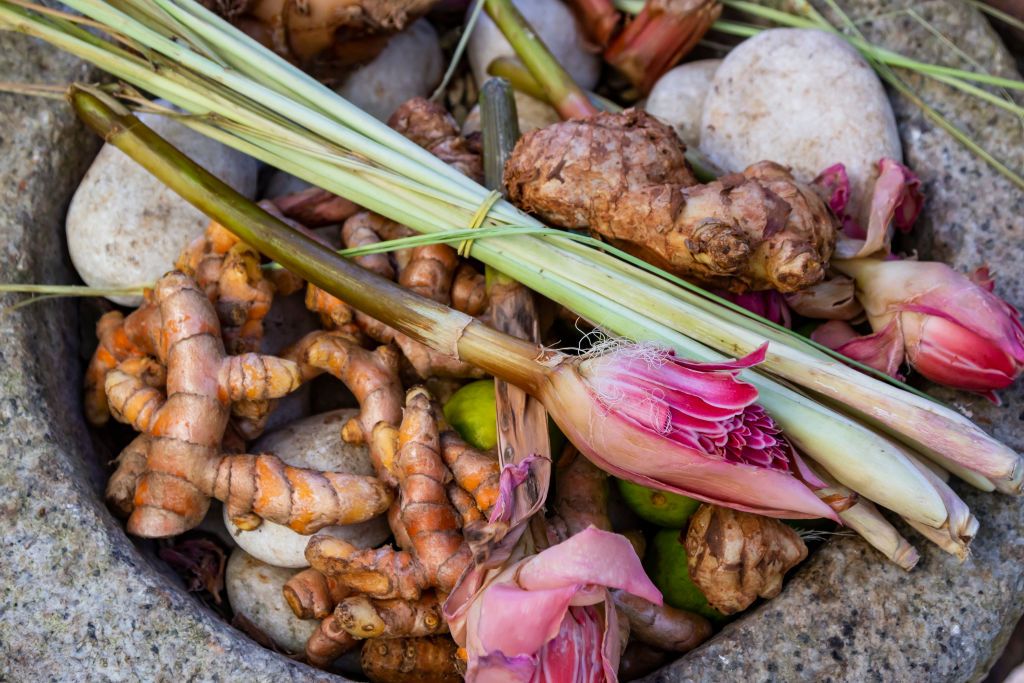 Torch ginger, galangal, turmeric, and other spices and herbs from Penang Tropical Spice Garden (Photo by John S Lander/LightRocket via Getty Images)