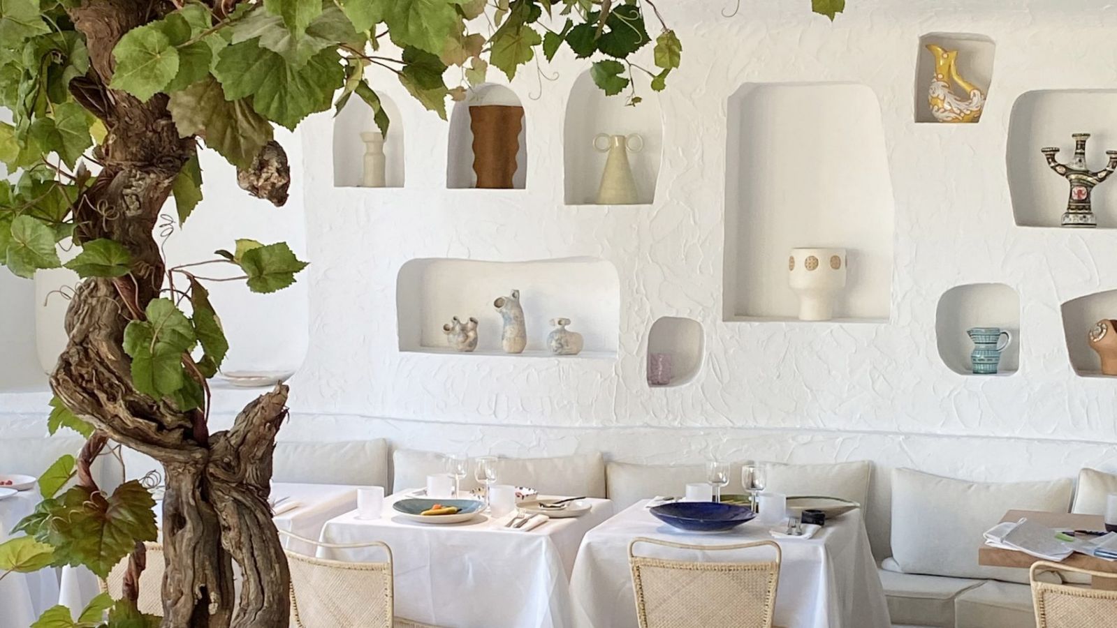 The whitewashed interior of Café Oursin features a gnarled vine plant centerpiece with natural foliage extending overhead (Photo: Jacquemus)