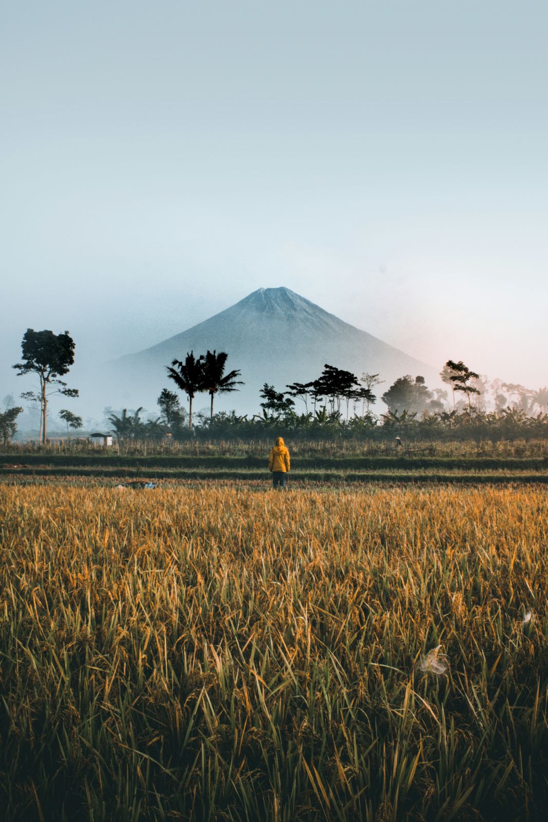 Oro-oro Ombo, sebuah desa di Batu, Jawa Timur (Photo: Ifan Bima / Unsplash)