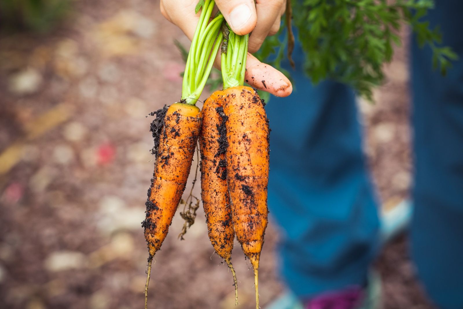 Photo by Markus Spiske/Unsplash