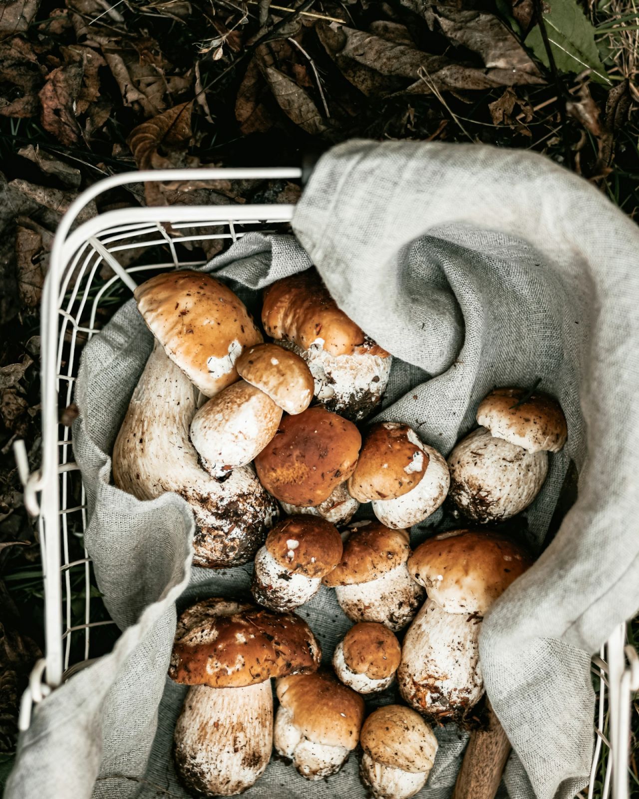 Photo by Svitlana/Unsplash