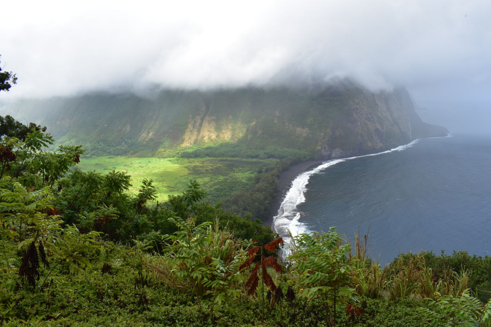 Waimea Valley, Hawaii (Photo: iStock)