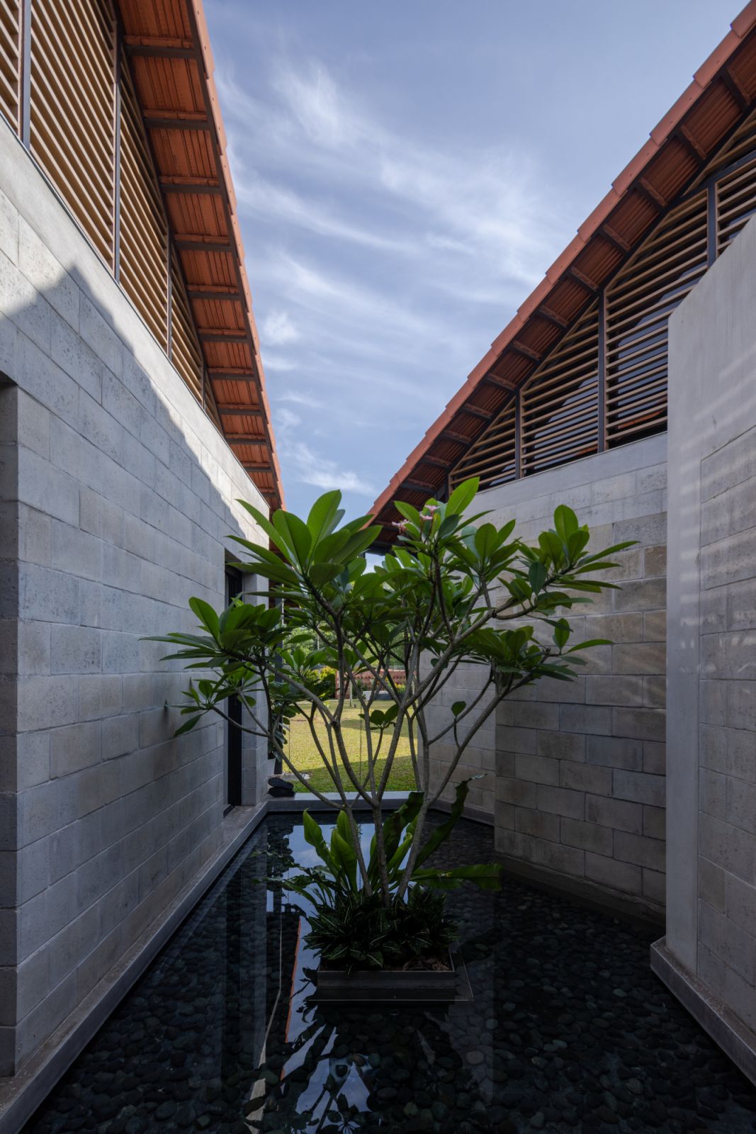 One of the home's signature water-feature courtyards, where concrete walls frame a reflecting pool with a frangipani tree centerpiece