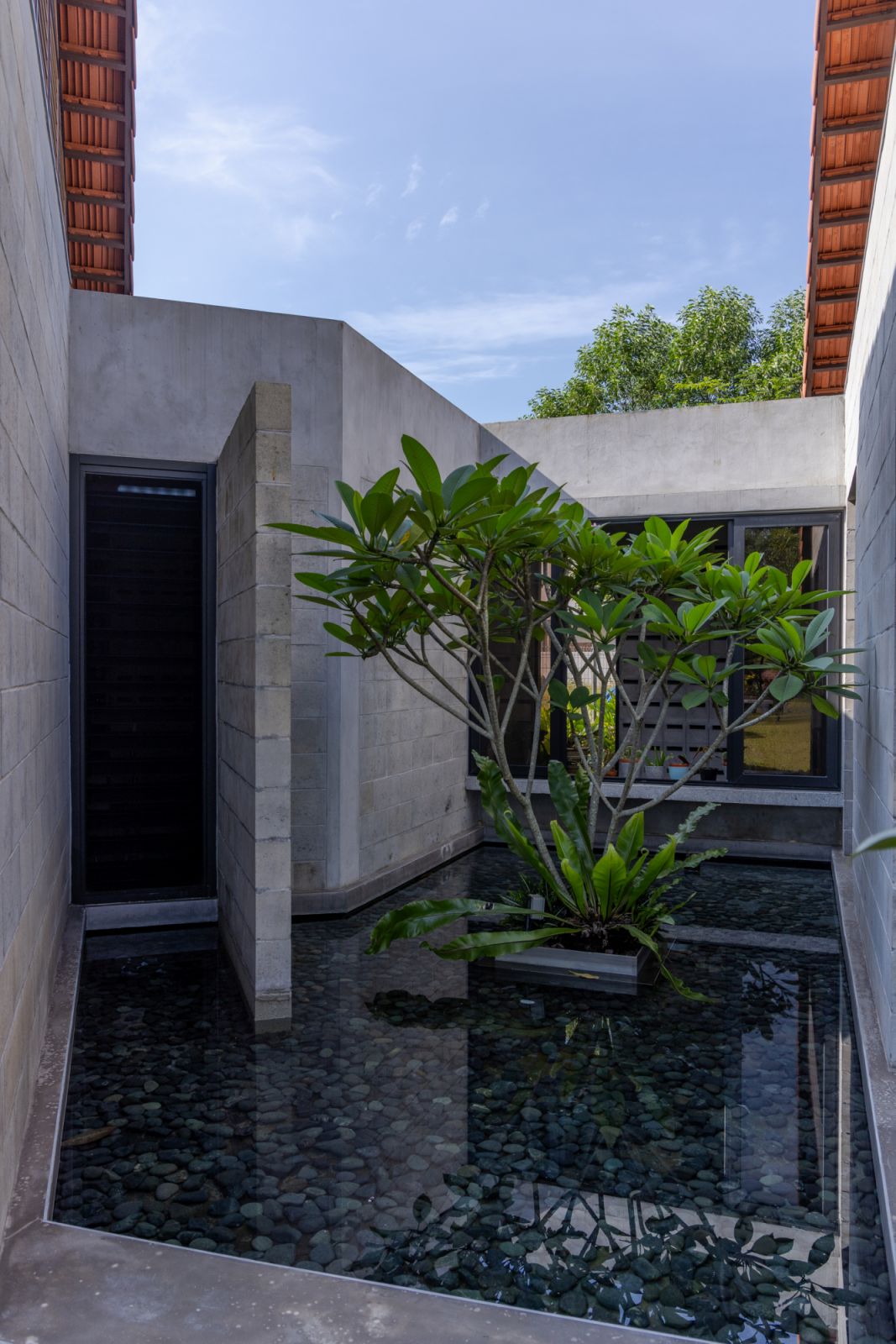 The exposed concrete walls frame the space, demonstrating how the home creates unexpected outdoor experiences within its interior circulation paths