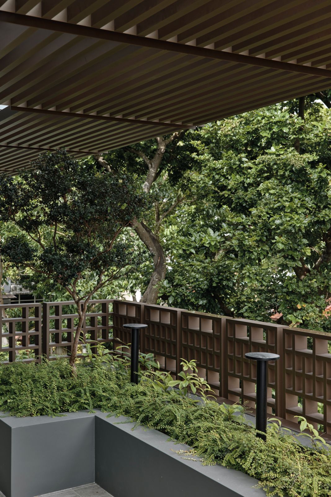 The Caesalpinia ferrea trees on the upper balconies were chosen for their elegantly sinuous trunks, finely textured bark and feathery foliage that “moves gently in the breeze”, says landscape architect John Lim