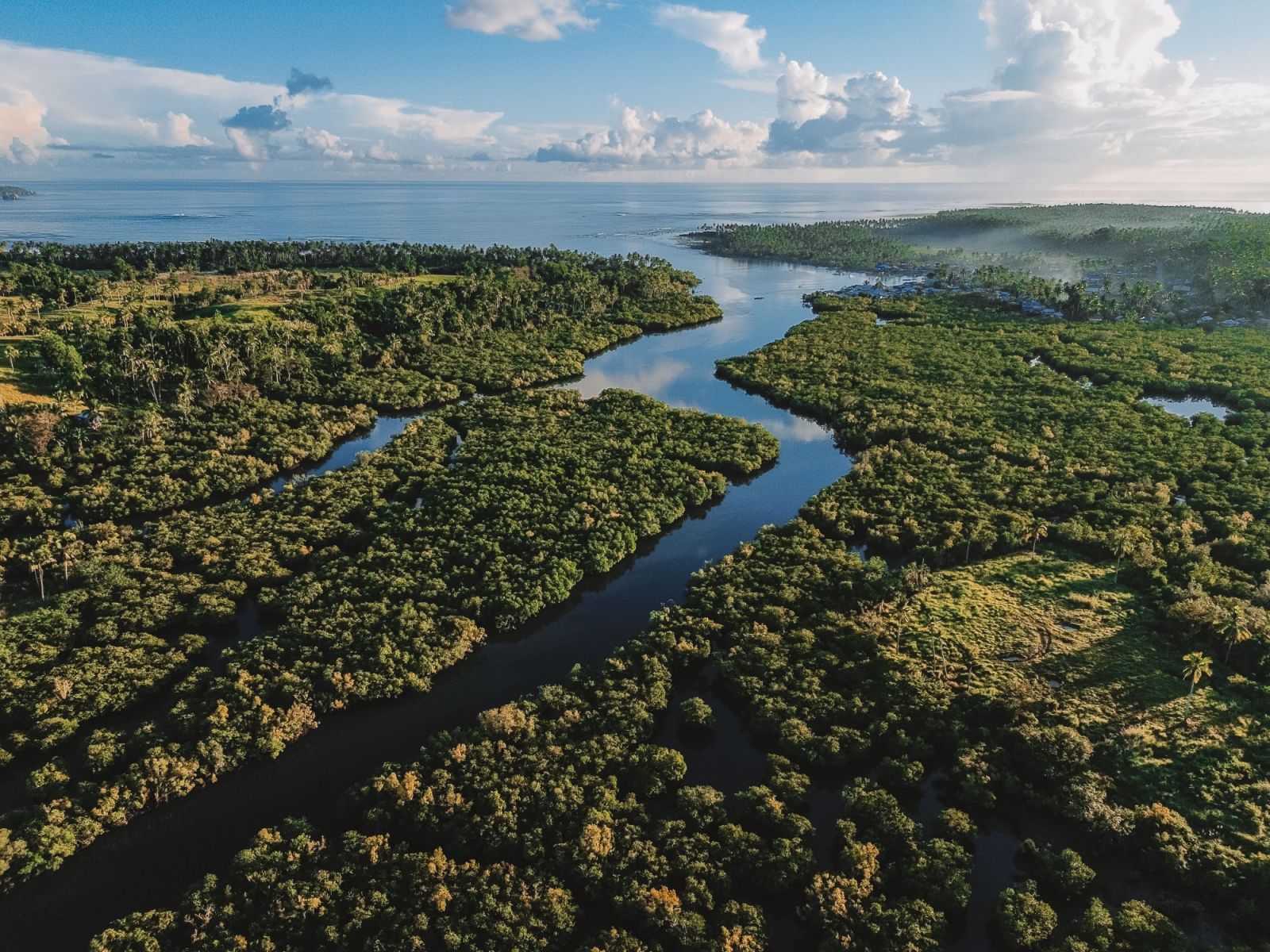 A mangrove forest in Siargao (Photo: Camille Robiou Du Pont, courtesy of Maison Bukana)
