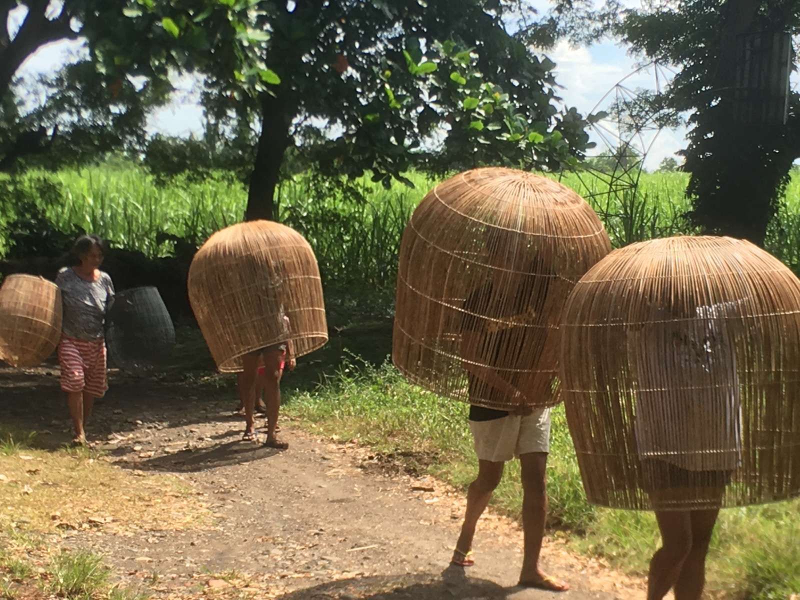 The habloneras with lamps made out of woven baskets